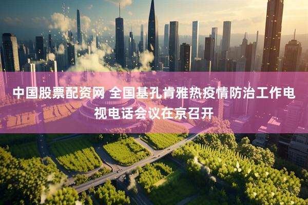 中国股票配资网 全国基孔肯雅热疫情防治工作电视电话会议在京召开
