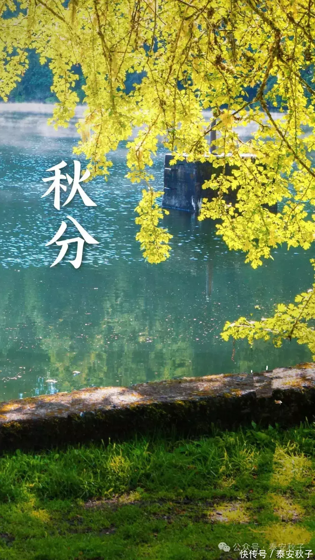 天成创亿 天气转凉，还是“毛衫”更好穿！“搭裤飒、配裙柔”又美、又自然