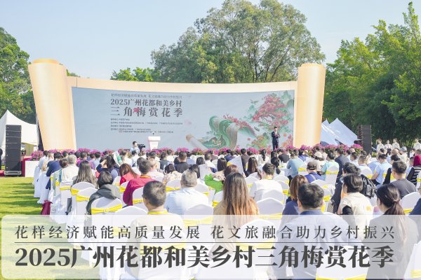 佳荣网配 共赴“梅”好！快来广州花都赏五彩三角梅