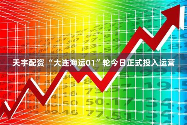 天宇配资 “大连海运01”轮今日正式投入运营